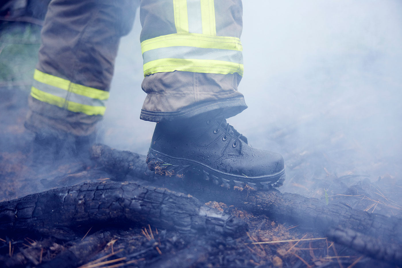 Wildland Fire Season