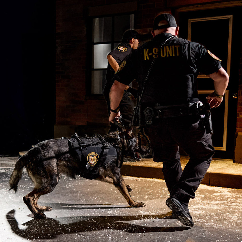 Public Service Boots