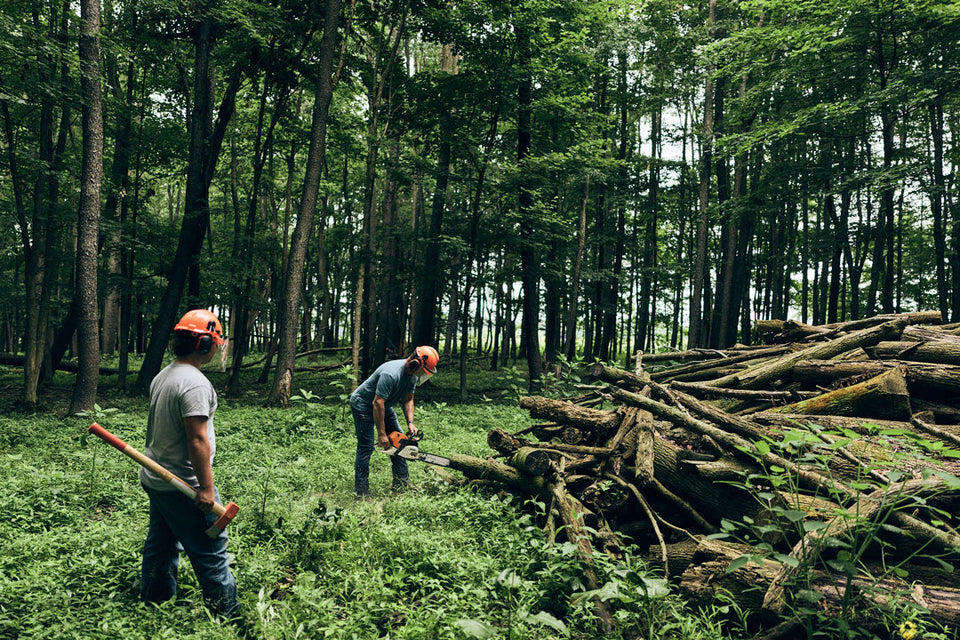 For the Logger