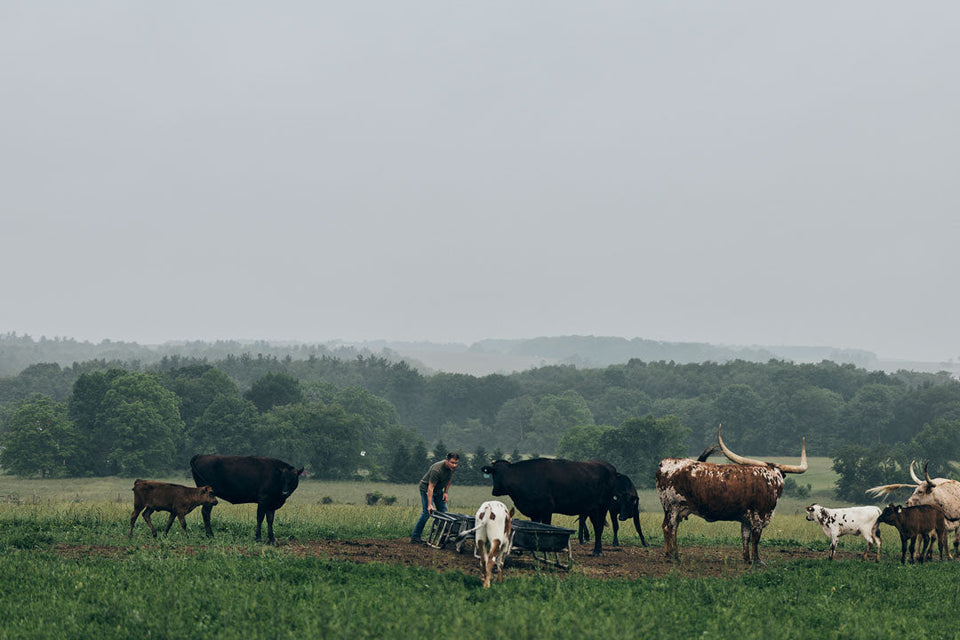 For the Rancher